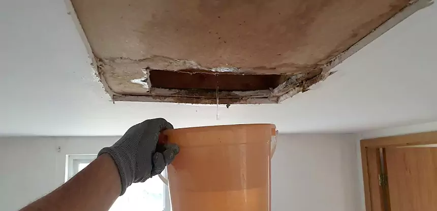 Ceiling Mold Repair Duluth