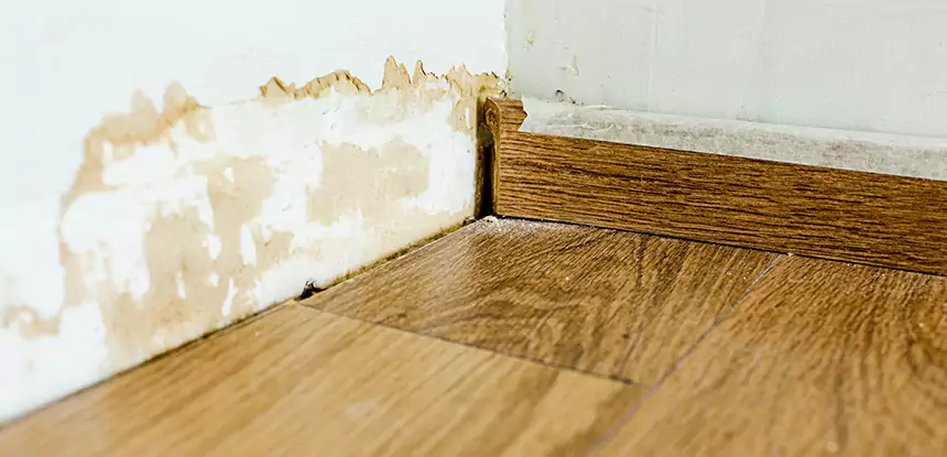 Professional Fix Water Damaged Wood Services in Duluth, GA